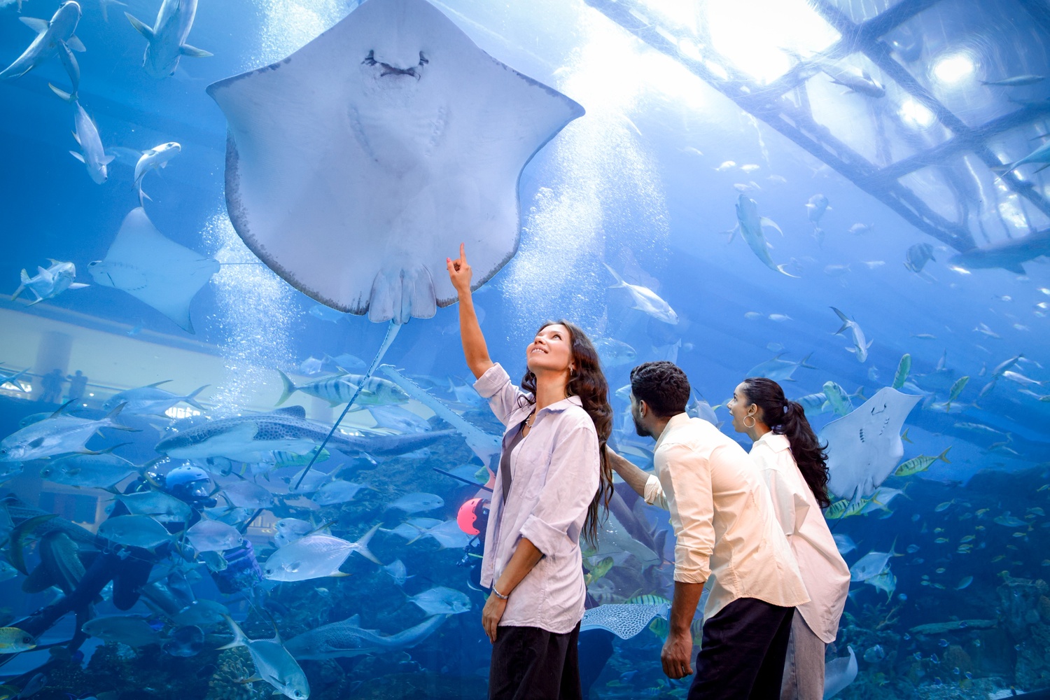 Dubai Aquarium & Underwater Zoo